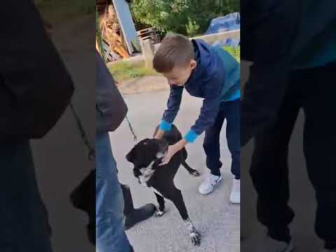 YouTube-Video-Thumbnail