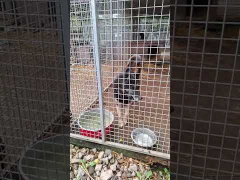 YouTube-Video-Thumbnail