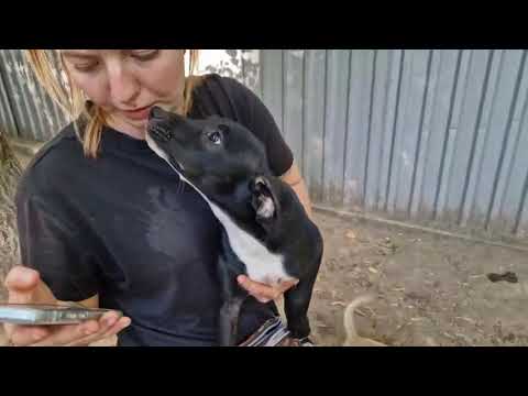 YouTube-Video-Thumbnail