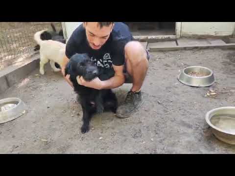 YouTube-Video-Thumbnail