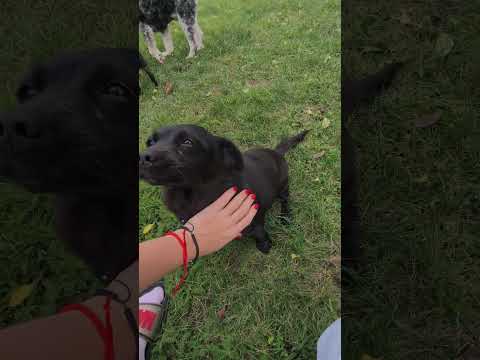 YouTube-Video-Thumbnail