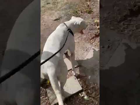 YouTube-Video-Thumbnail