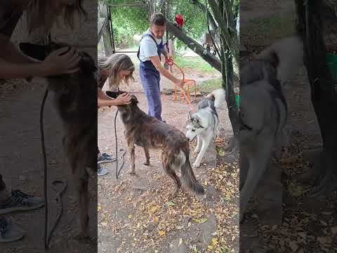 YouTube-Video-Thumbnail