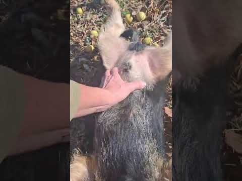 YouTube-Video-Thumbnail