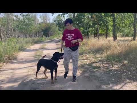 YouTube-Video-Thumbnail