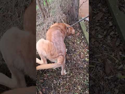 YouTube-Video-Thumbnail