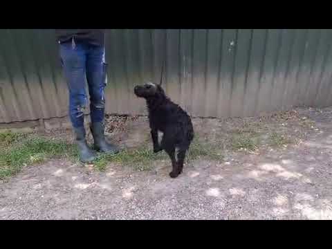 YouTube-Video-Thumbnail