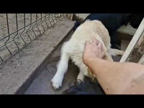 YouTube-Video-Thumbnail