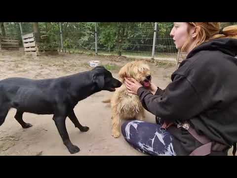 YouTube-Video-Thumbnail