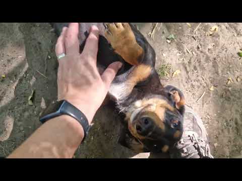 YouTube-Video-Thumbnail