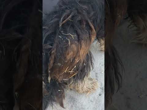 YouTube-Video-Thumbnail