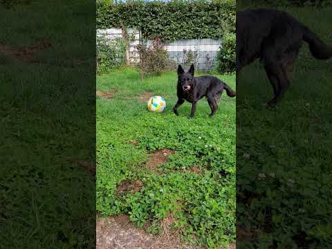 YouTube-Video-Thumbnail