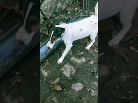 YouTube-Video-Thumbnail