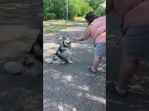 YouTube-Video-Thumbnail