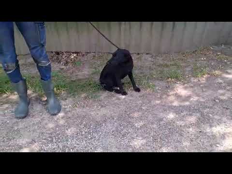 YouTube-Video-Thumbnail