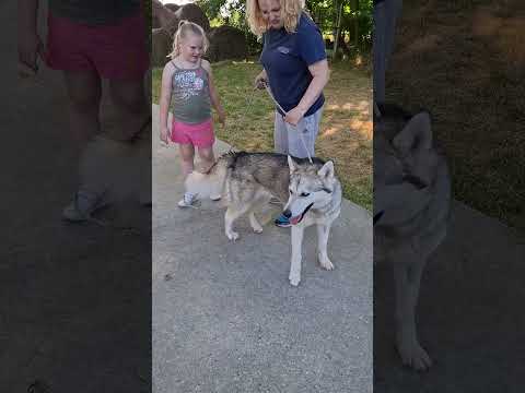 YouTube-Video-Thumbnail