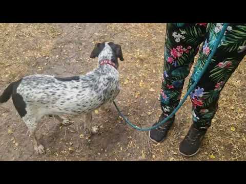 YouTube-Video-Thumbnail