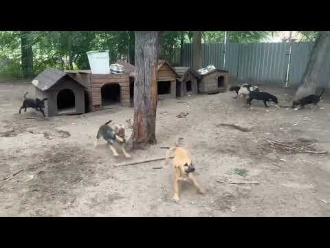 YouTube-Video-Thumbnail