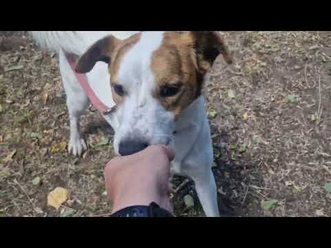 YouTube-Video-Thumbnail