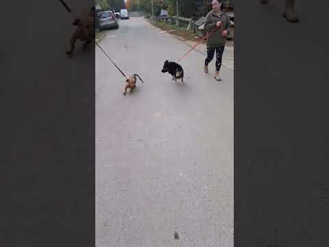 YouTube-Video-Thumbnail