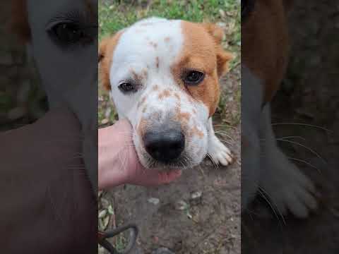 YouTube-Video-Thumbnail