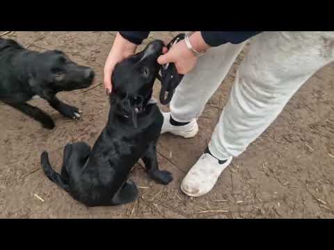 YouTube-Video-Thumbnail