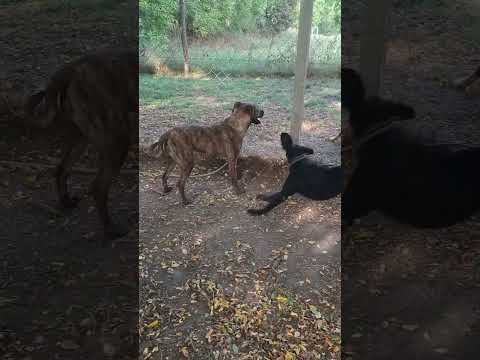 YouTube-Video-Thumbnail