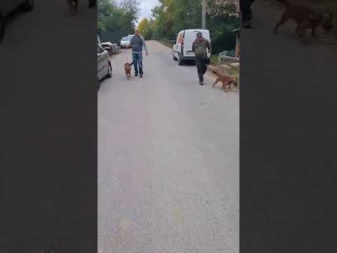 YouTube-Video-Thumbnail