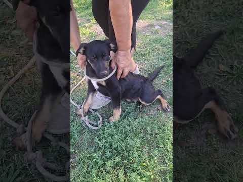 YouTube-Video-Thumbnail