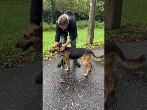 YouTube-Video-Thumbnail