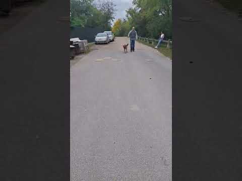 YouTube-Video-Thumbnail