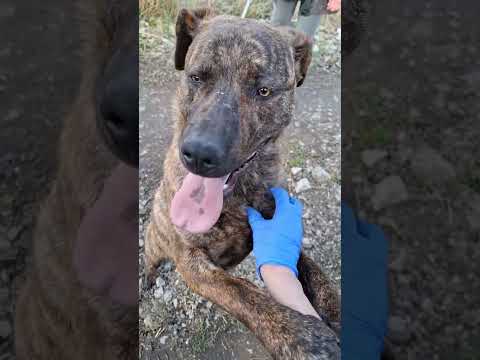 YouTube-Video-Thumbnail