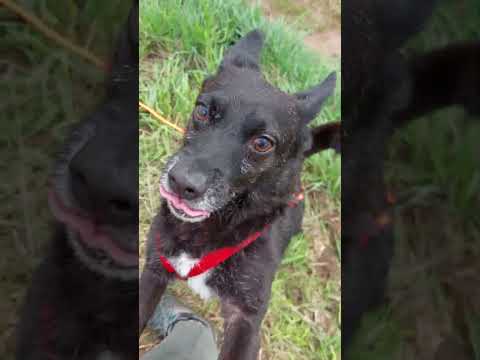 YouTube-Video-Thumbnail