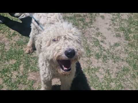 YouTube-Video-Thumbnail