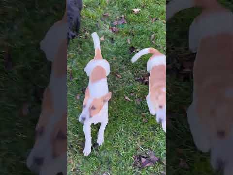 YouTube-Video-Thumbnail