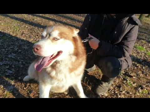 YouTube-Video-Thumbnail