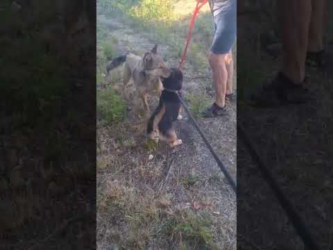 YouTube-Video-Thumbnail