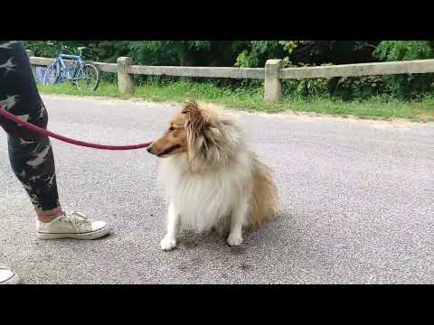 YouTube-Video-Thumbnail