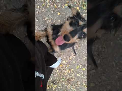 YouTube-Video-Thumbnail