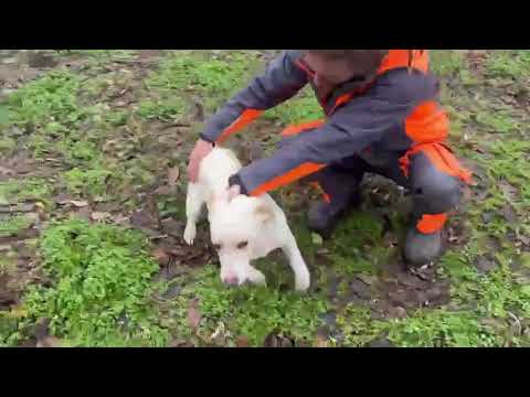 YouTube-Video-Thumbnail