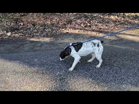 YouTube-Video-Thumbnail