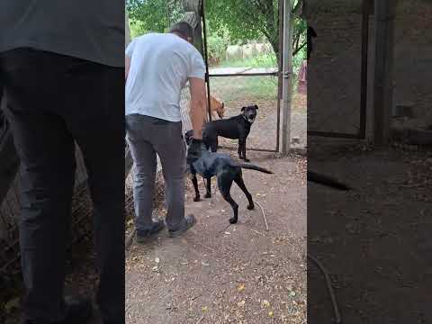 YouTube-Video-Thumbnail