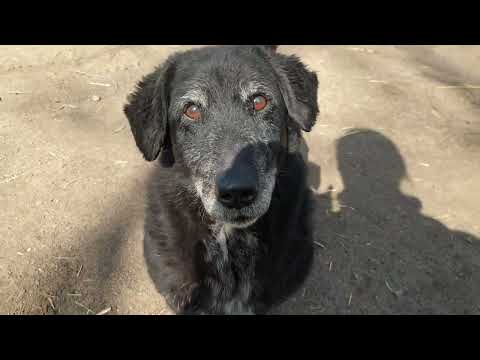 YouTube-Video-Thumbnail