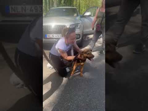 YouTube-Video-Thumbnail