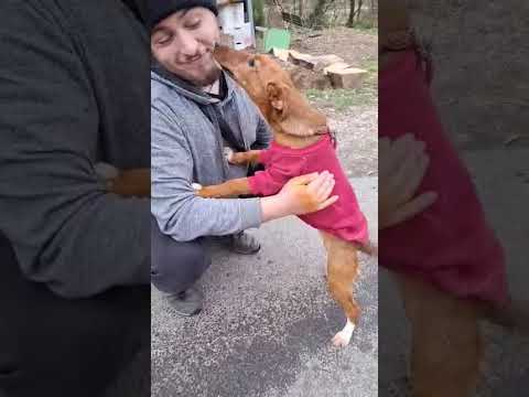 YouTube-Video-Thumbnail