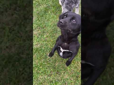 YouTube-Video-Thumbnail