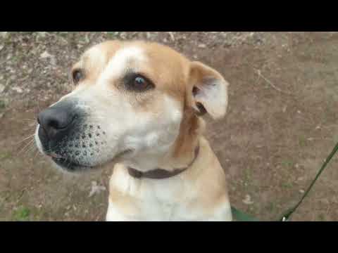 YouTube-Video-Thumbnail