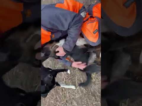 YouTube-Video-Thumbnail