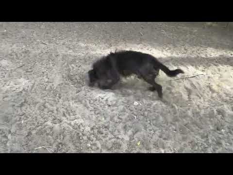 YouTube-Video-Thumbnail