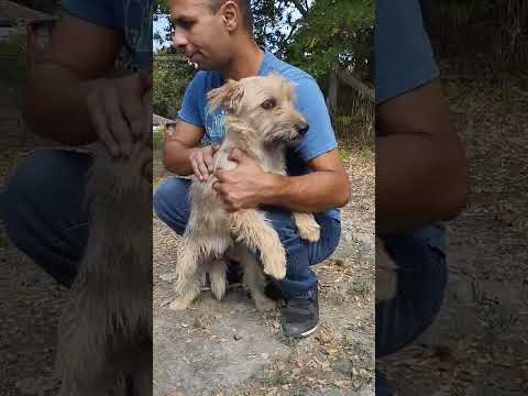 YouTube-Video-Thumbnail